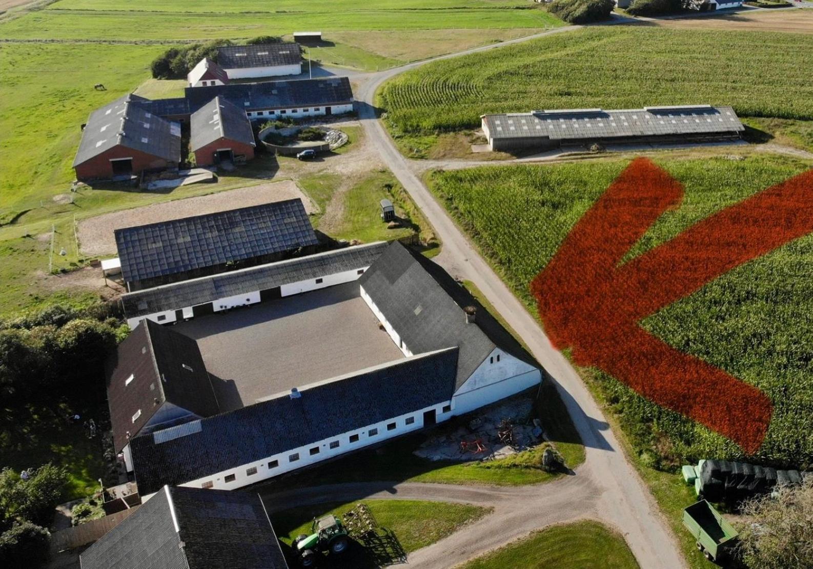 Lokken Farm Holiday Buitenkant foto