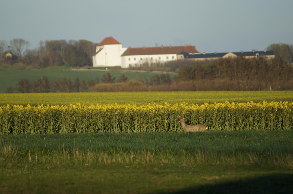 Lokken Farm Holiday Kamer foto