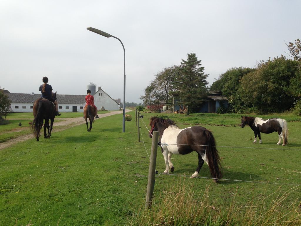 Lokken Farm Holiday Buitenkant foto